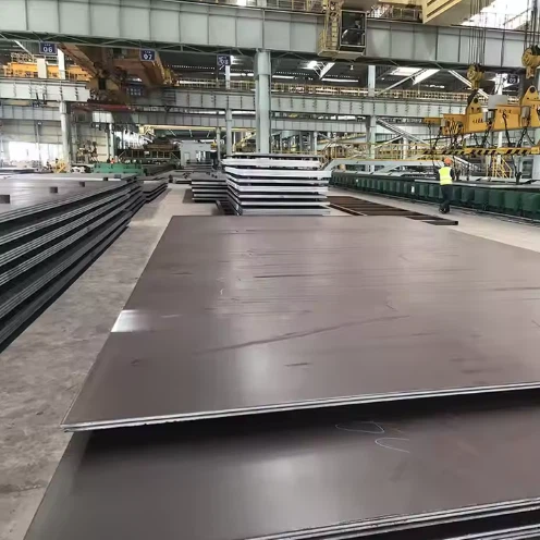 info-496-496 info-496-496